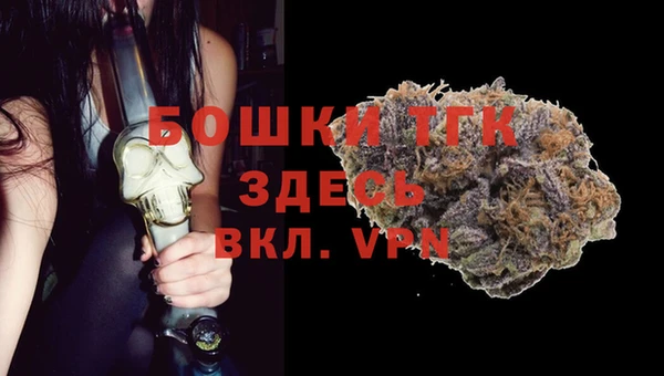 гашик Богданович