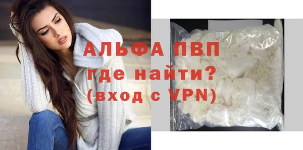 гашик Богданович