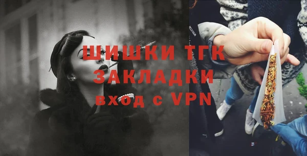 a pvp Бородино