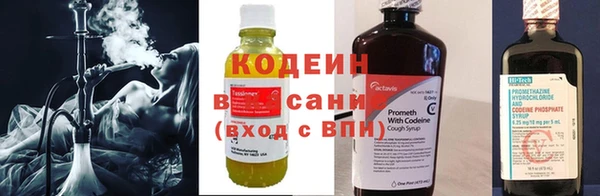 a pvp Бородино