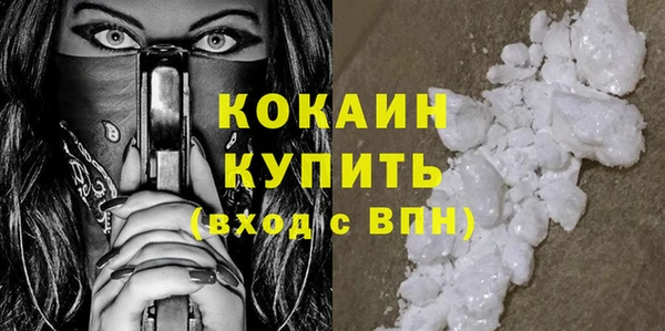 гашик Богданович