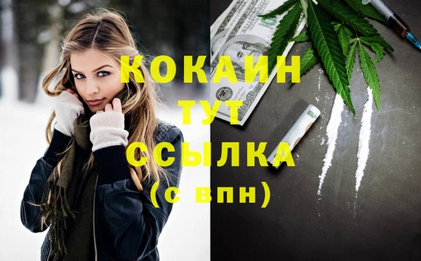 гашик Богданович