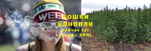 ГАЛЛЮЦИНОГЕННЫЕ ГРИБЫ Богородицк