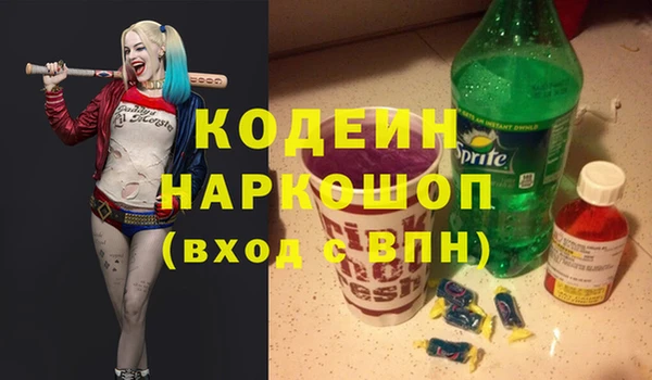 a pvp Бородино