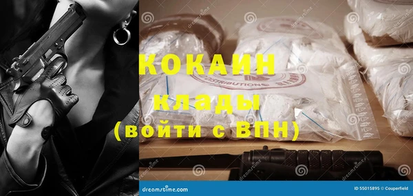 a pvp Бородино
