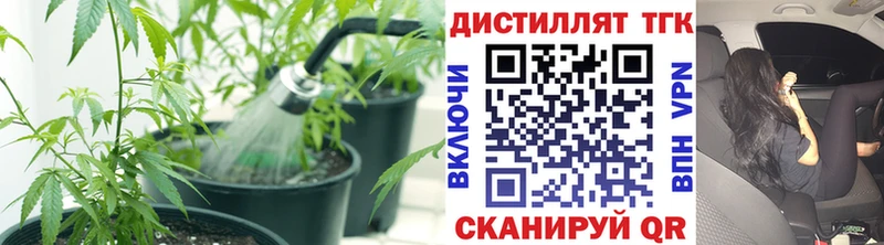 omg сайт  darknet формула  Дистиллят ТГК жижа  Армавир 