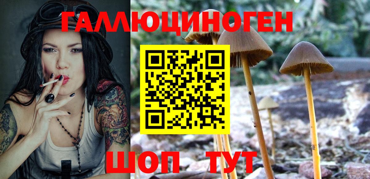 Армавир  Галлюциногенные грибы GOLDEN TEACHER  Вход с VPN 
