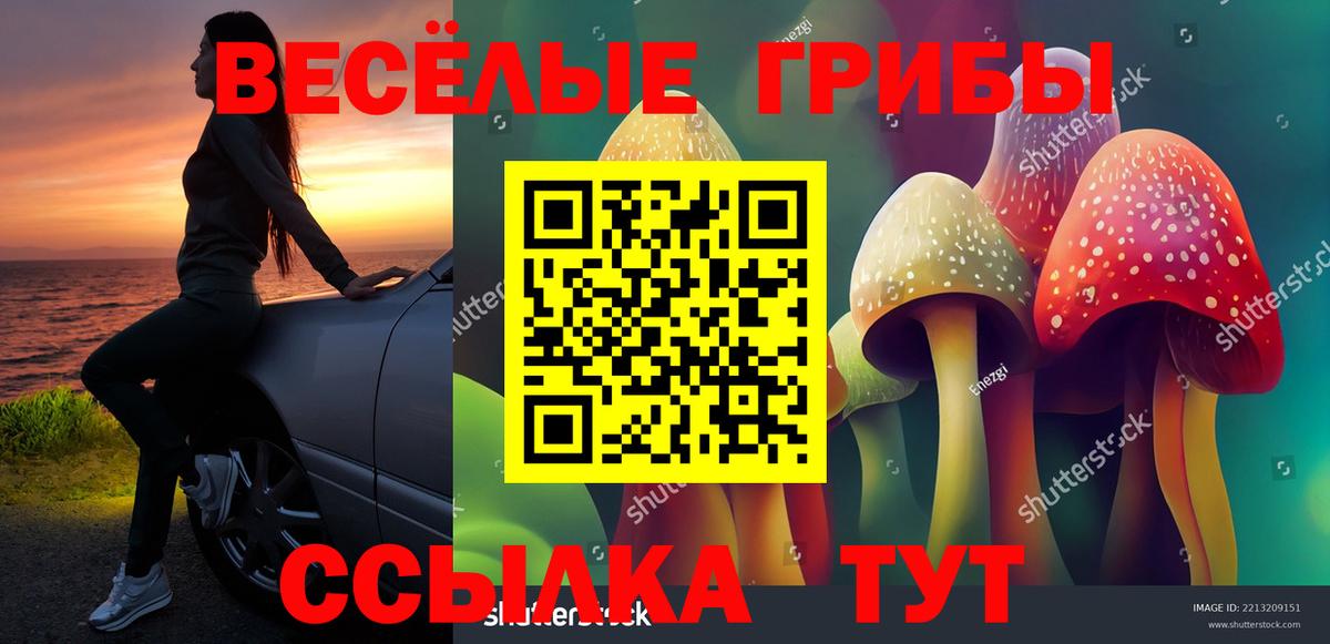 Псилоцибиновые грибы Psilocybine cubensis Армавир