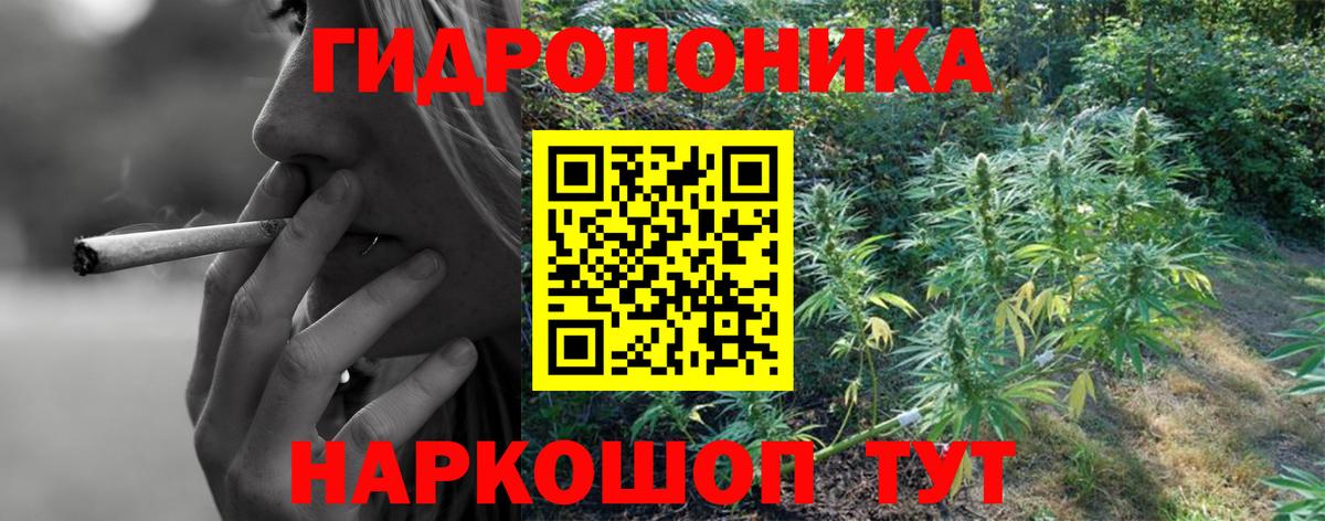 Каннабис MAZAR Армавир
